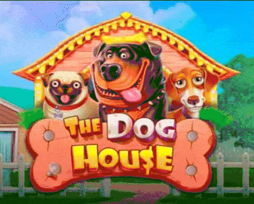 Speel The Dog House bij Spinformula Casino